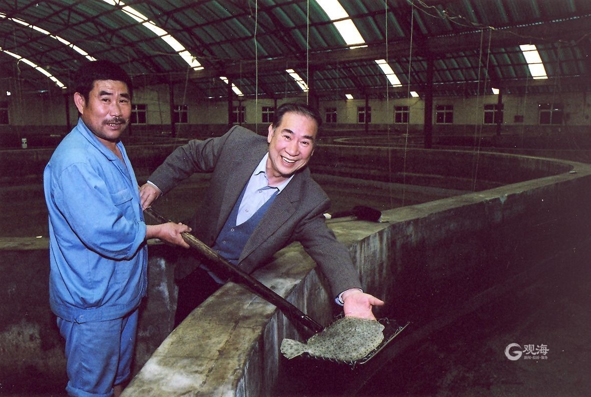 中国多宝鱼实现了人工养殖,近海养殖多宝鱼