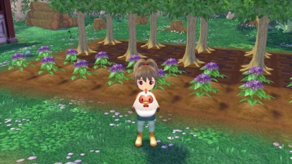 什么游戏最适合放假的时候玩,推荐元旦节日玩什么游戏