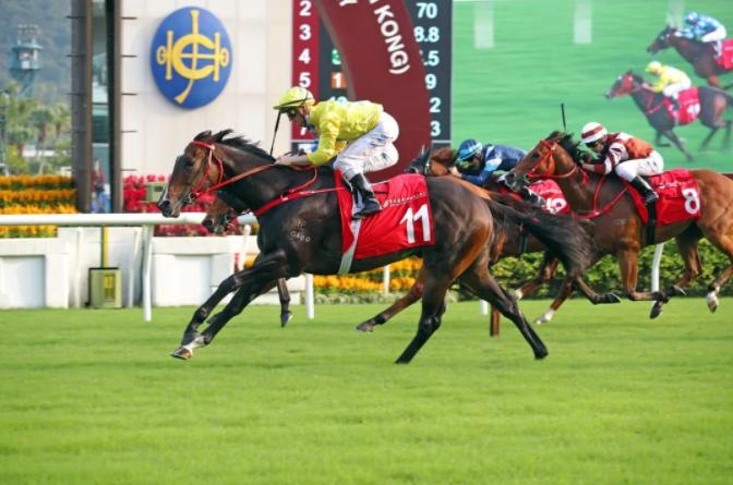 华商会挑战杯,2020华商会挑战杯