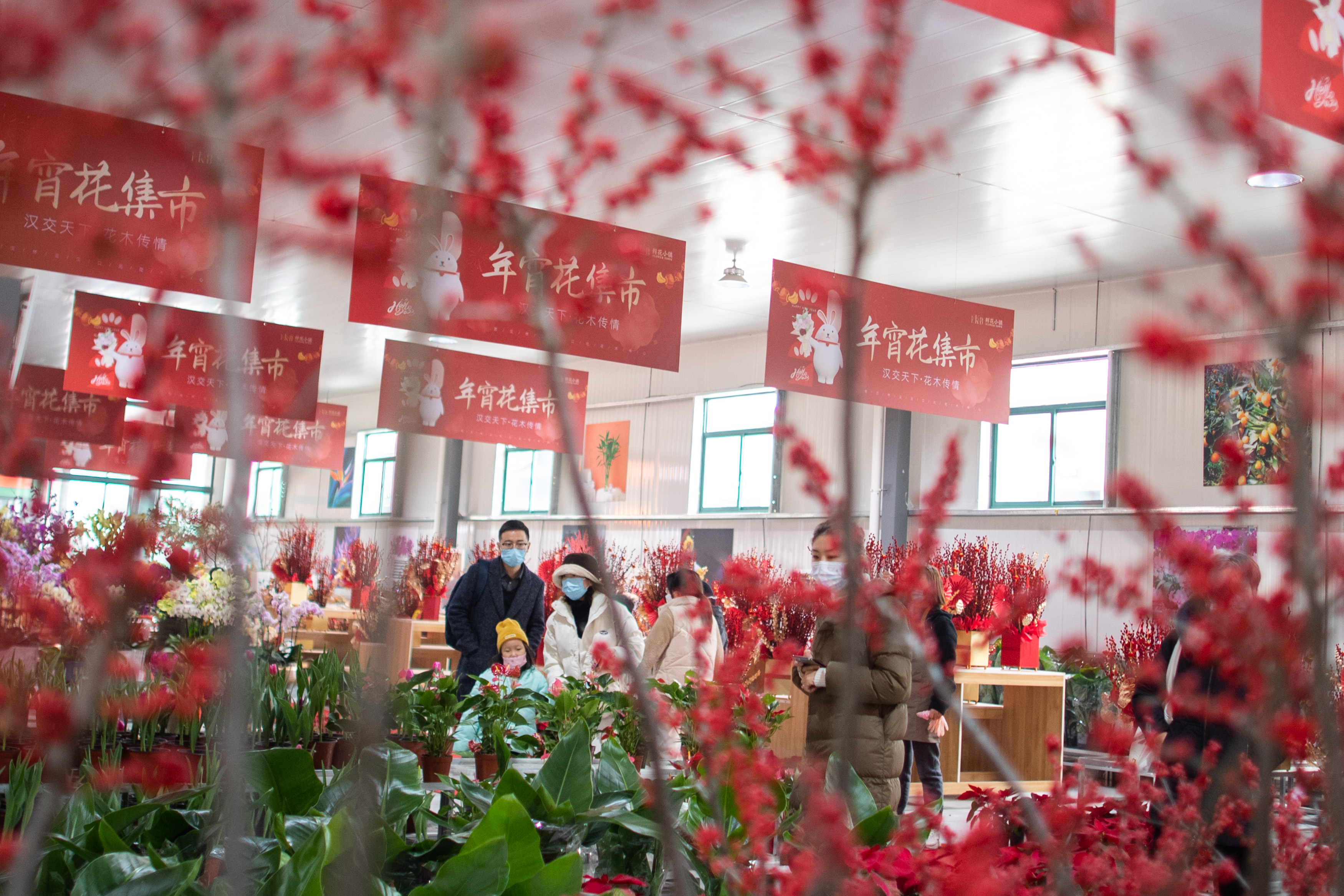 新华全媒19大互动,新华全媒视频