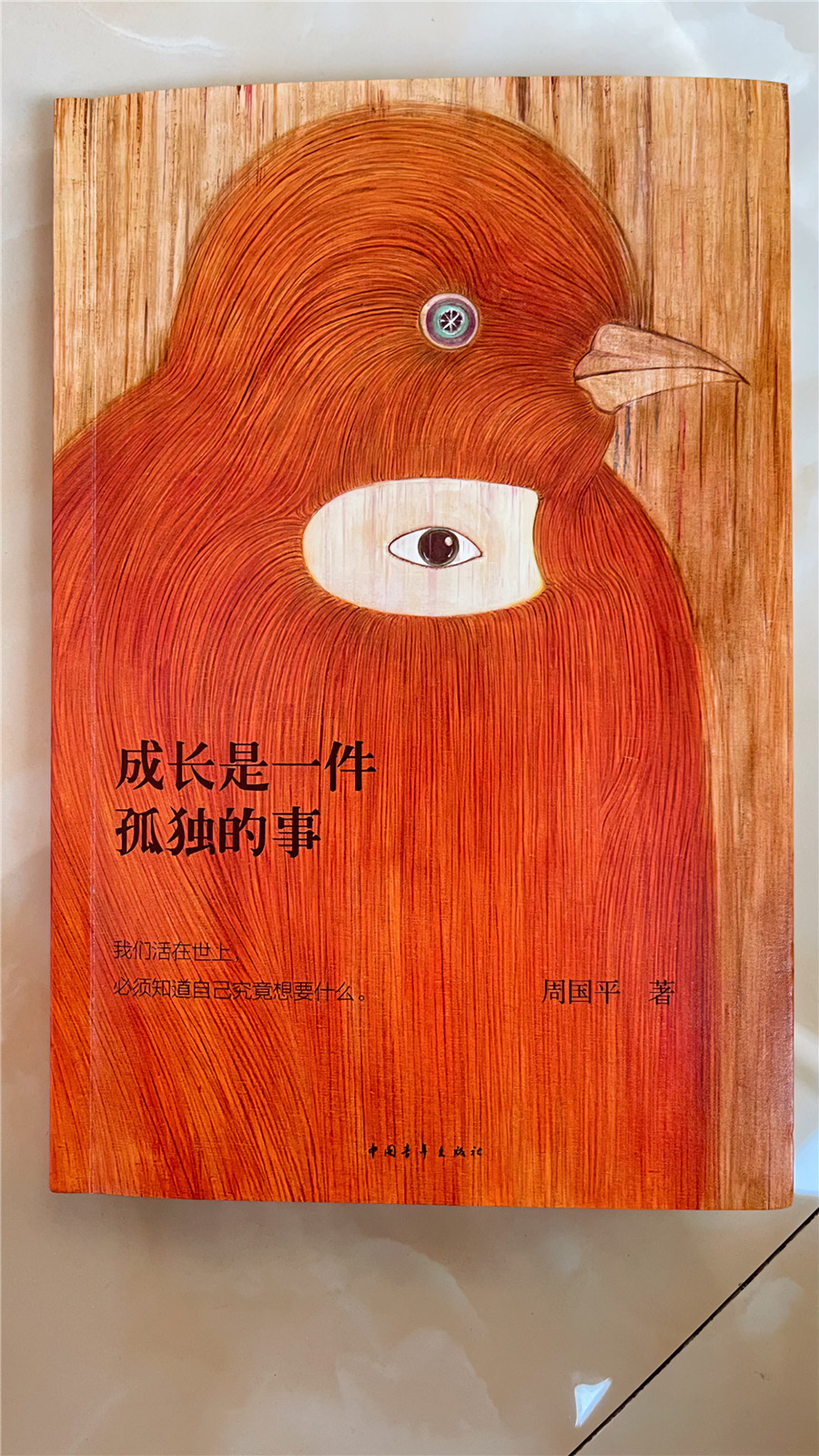 2022年度文学好书榜推荐书单,收藏2022年中国好书推荐书单