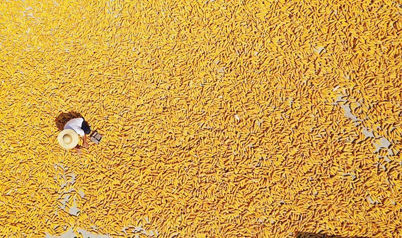 兔年每月有几个节气,兔年1月份日历