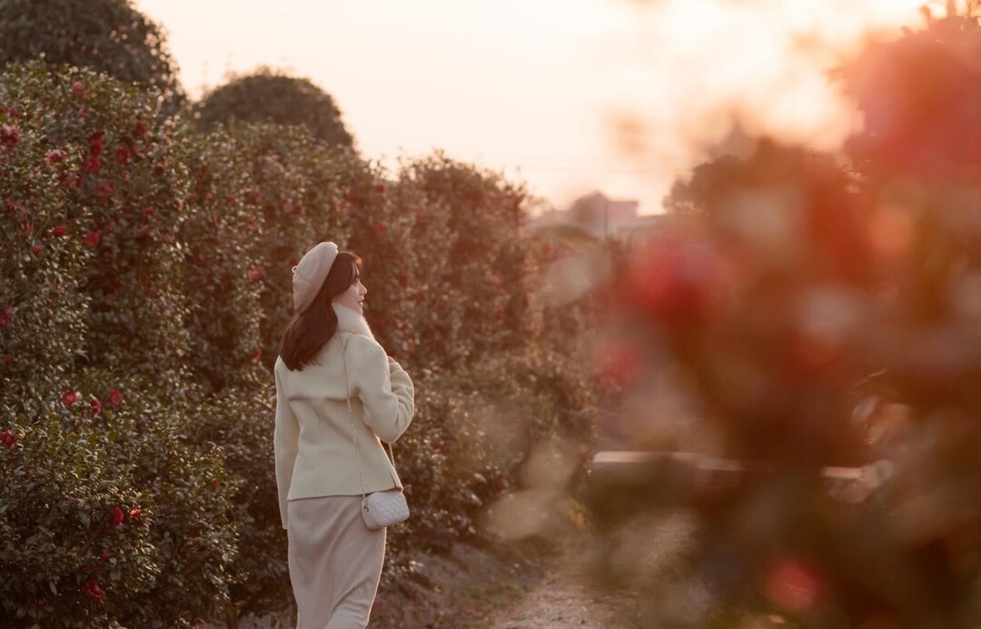 长沙春节游客多少人,春节长沙接待游客是最多的吗
