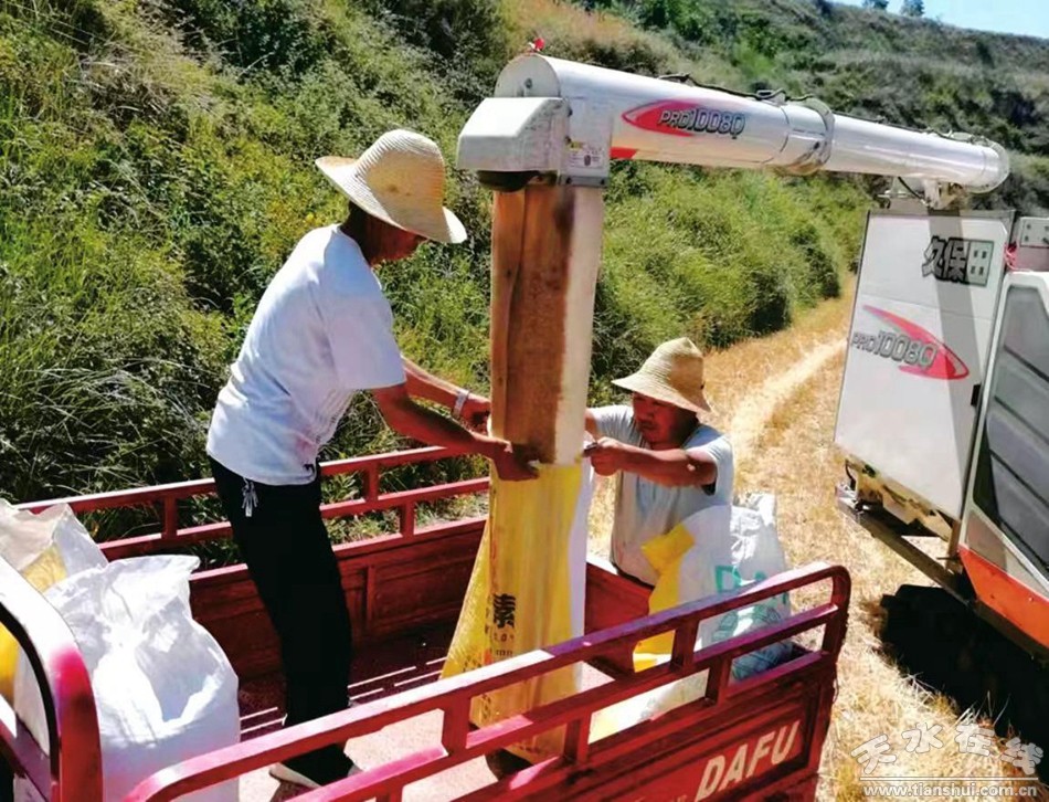 武山县重点工作会议,武山县乡村振兴四个一批