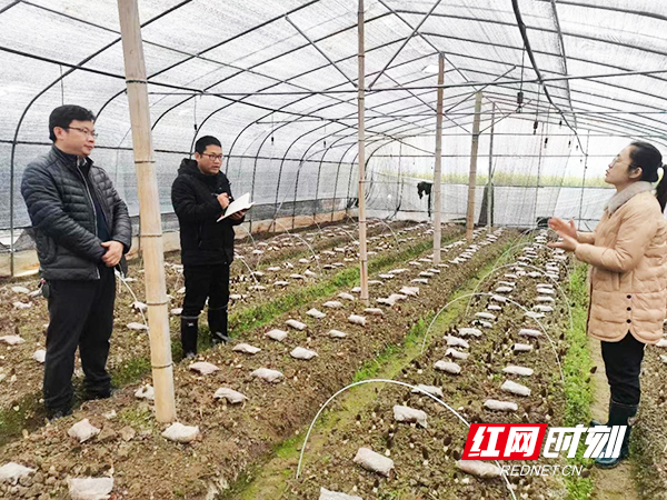 科技特派员以基地带动贫困户致富,科技特派员引领致富