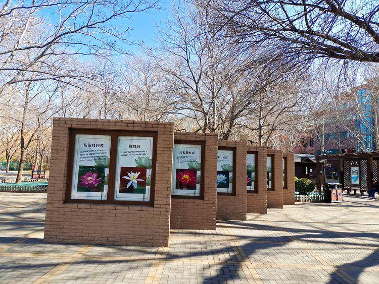 东北河流开冻,七九河会冻开吗