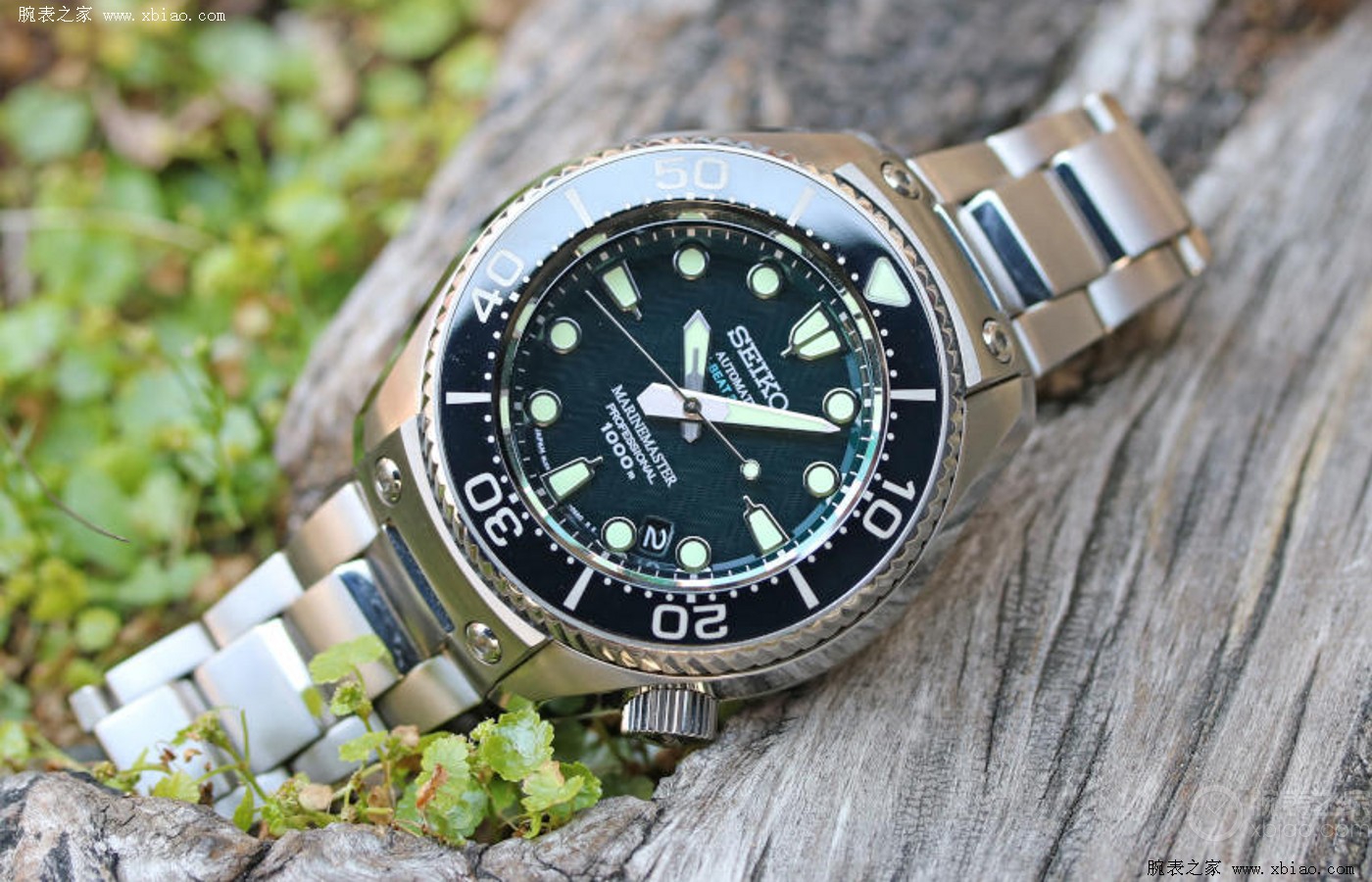 精工最好的机械表机芯型号,精工机械表的机芯哪个好