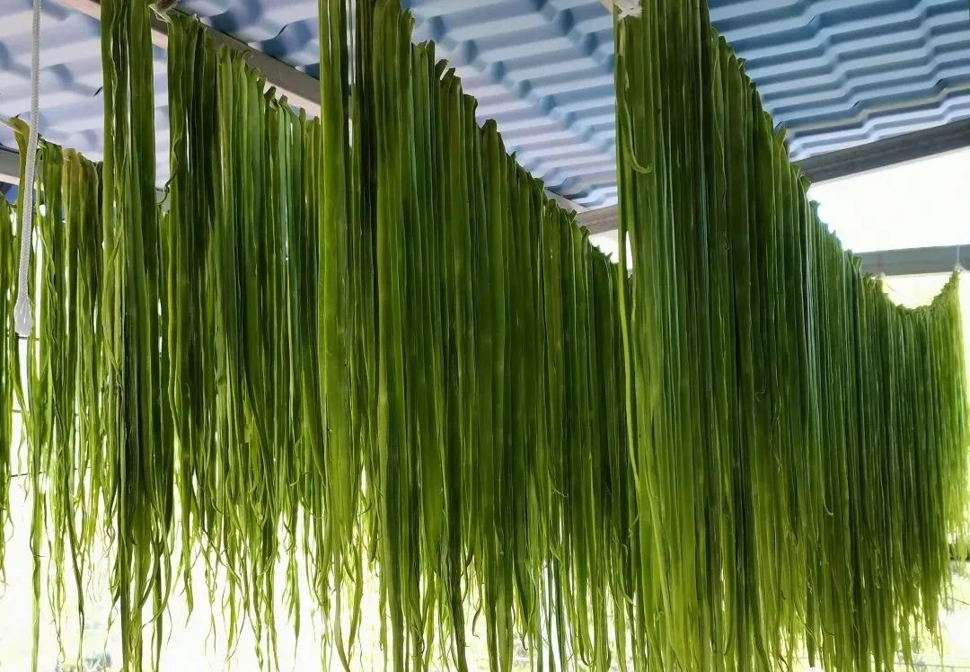 农民增收致富金钥匙,瓦哲村