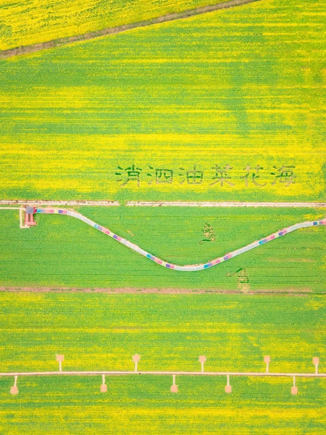 早安武汉｜武汉景区门票免费送！预约时间→