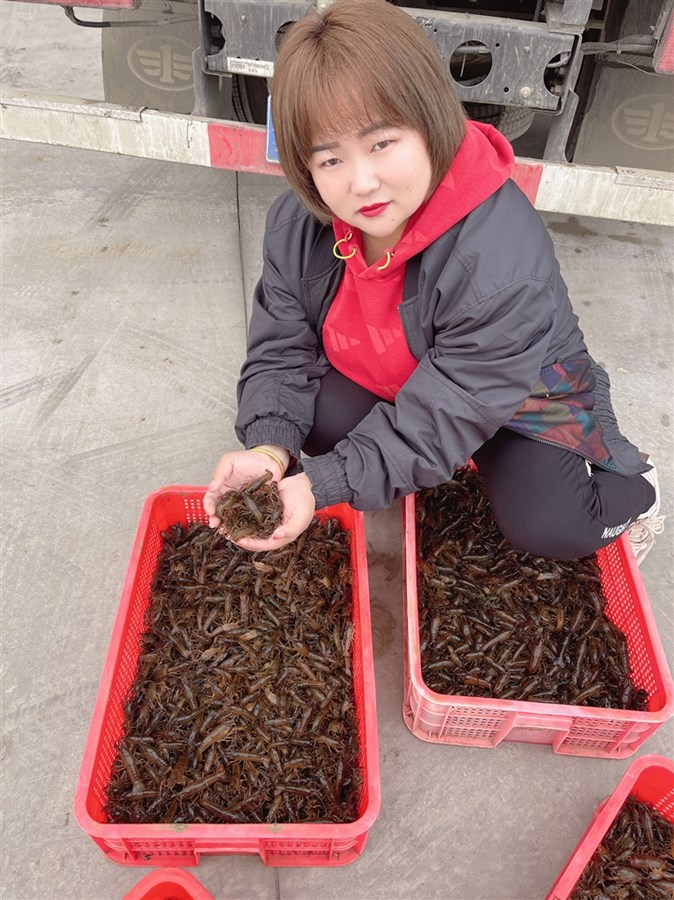 潜江市官方新闻网站