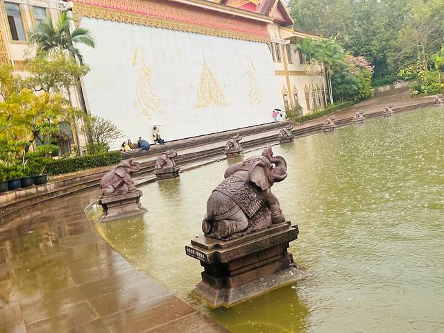 去四川5日游攻略,去云南和四川攻略