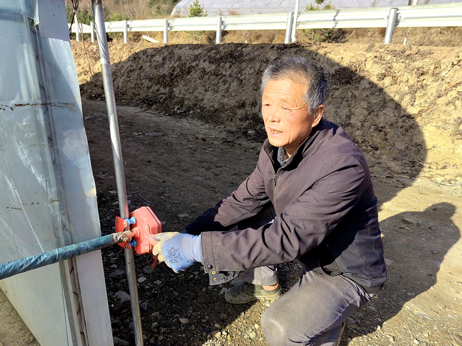 清水村经济产业发展,清水县的乡村振兴成就