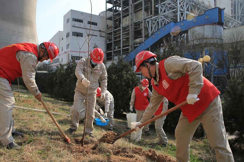 大唐宝二发电公司：“大唐红”引领“生态绿”