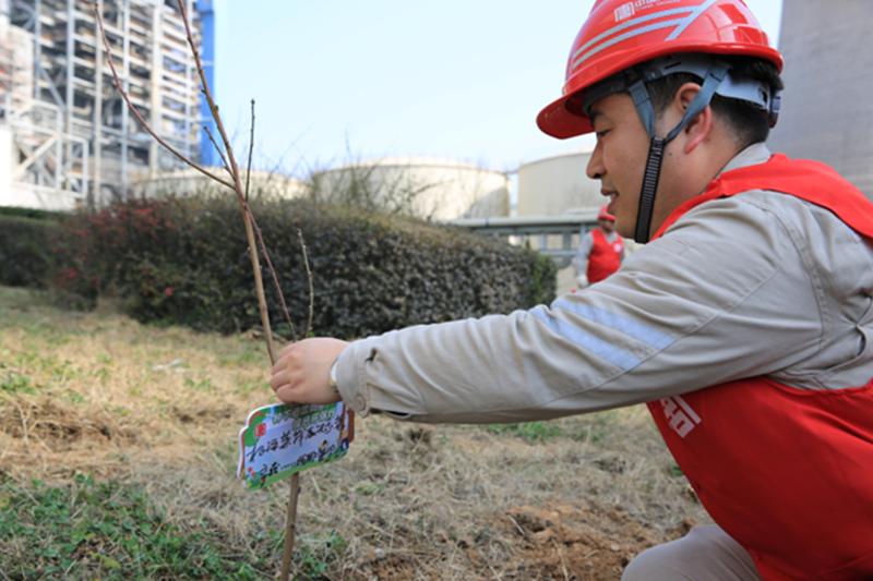 大唐宝二发电公司：“大唐红”引领“生态绿”