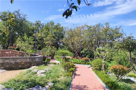 博山区整治环境卫生提升村容村貌,淄博市博山区城西规划