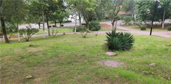 博山区整治环境卫生提升村容村貌,淄博市博山区城西规划