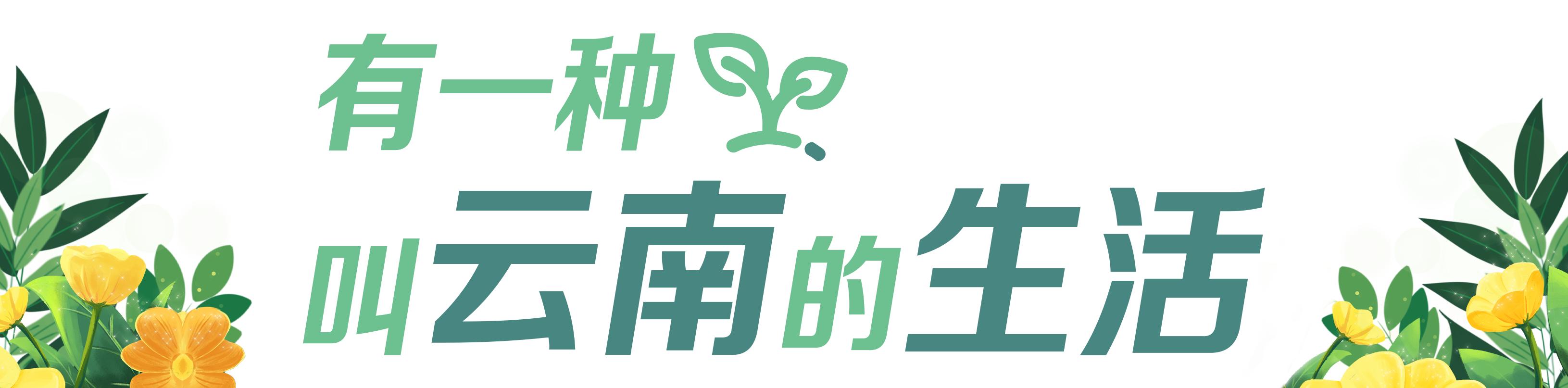 云南的西双版纳是什么样子,云南西双版纳是什么样的地方