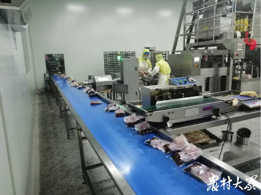 “菜篮子”变成“菜盘子”，预制菜推进红花镇兴农致富