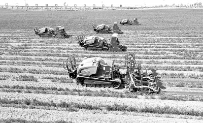 数字经济怎么成为新引擎,数字经济发展的核心动力是什么