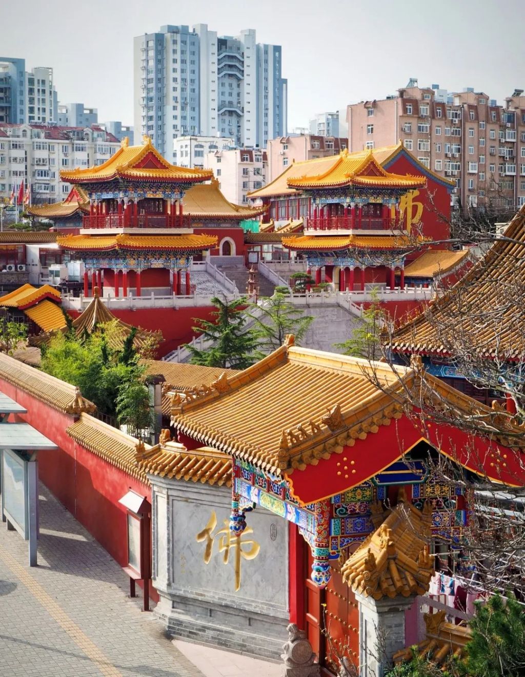 半岛叨叨丨放假7天！青岛这所高校冲上热搜，网友：又是别人家的学校