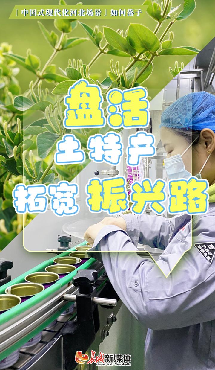 河北新河土特产铺就振兴路,打造中国式现代化河北场景