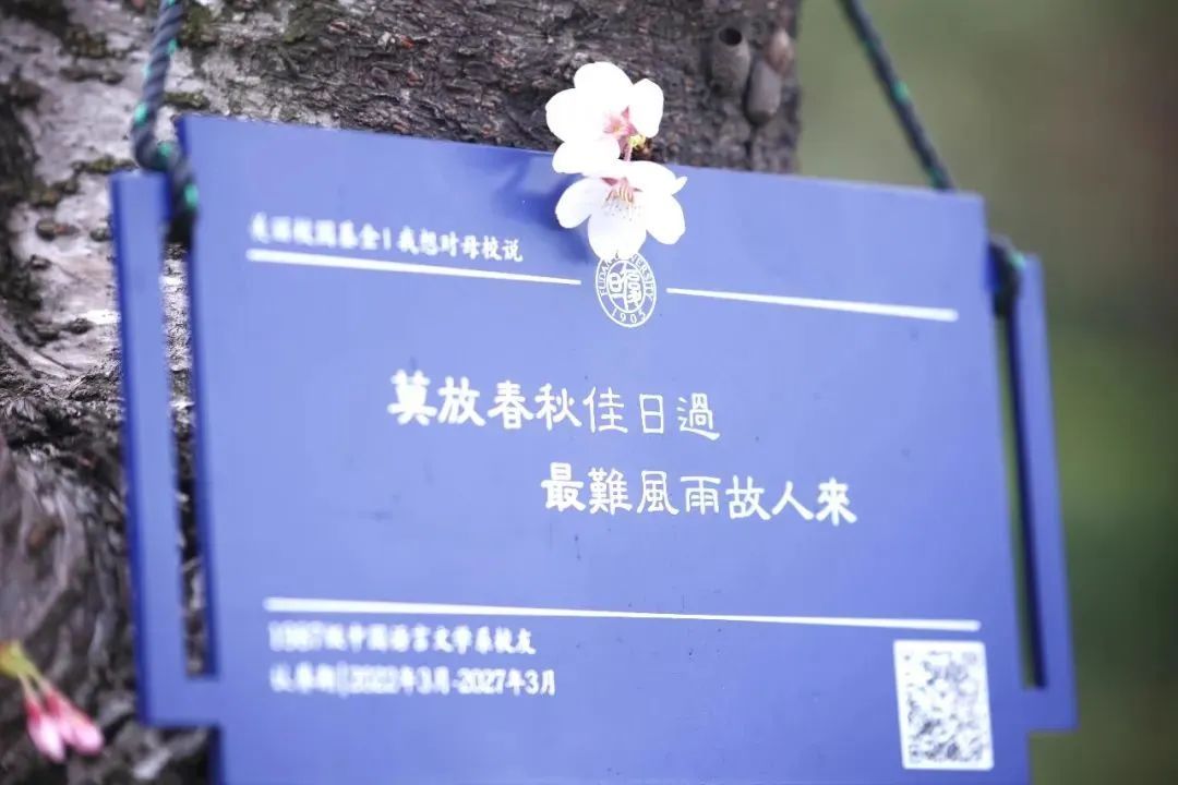 春日赏花先识花，识花先看这一篇~