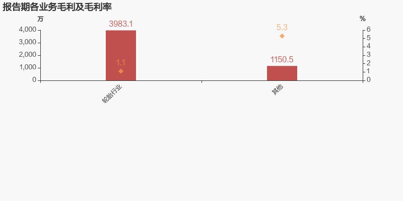 青岛双星2024年一季度业绩公告,青岛双星上市公司业绩