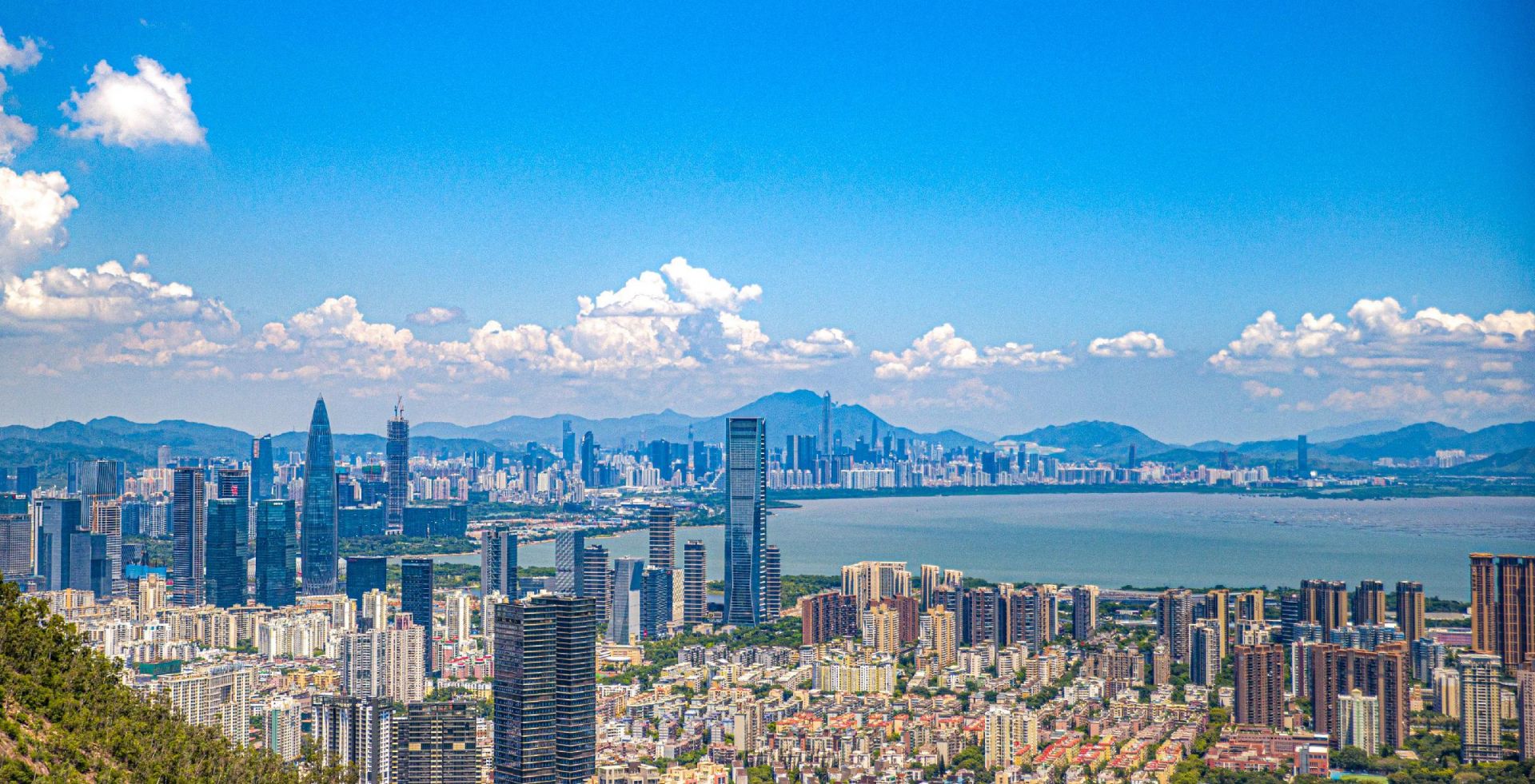 东盟数字经济发展合作论坛,中国东盟数字经济一体化