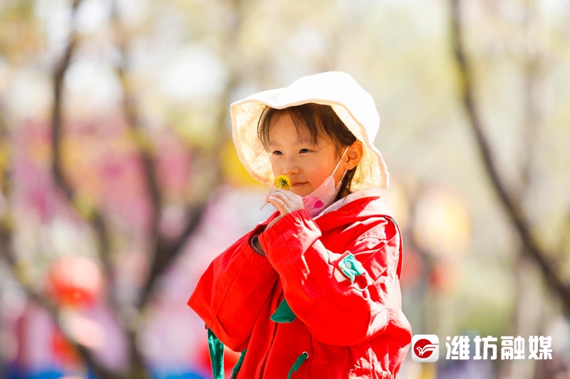 潍坊金宝乐园导游图高清,潍坊金宝乐园实体拍摄