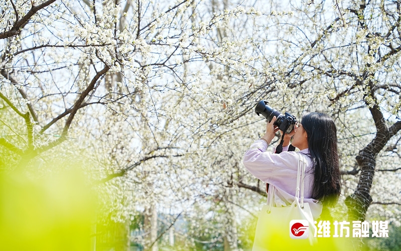 潍坊金宝乐园风景图片,潍坊金宝乐园游览图片大全