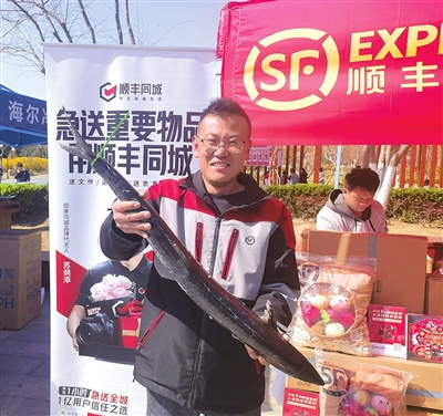 刚捕捞上来的鲅鱼,新鲜的鲅鱼邮寄到家视频