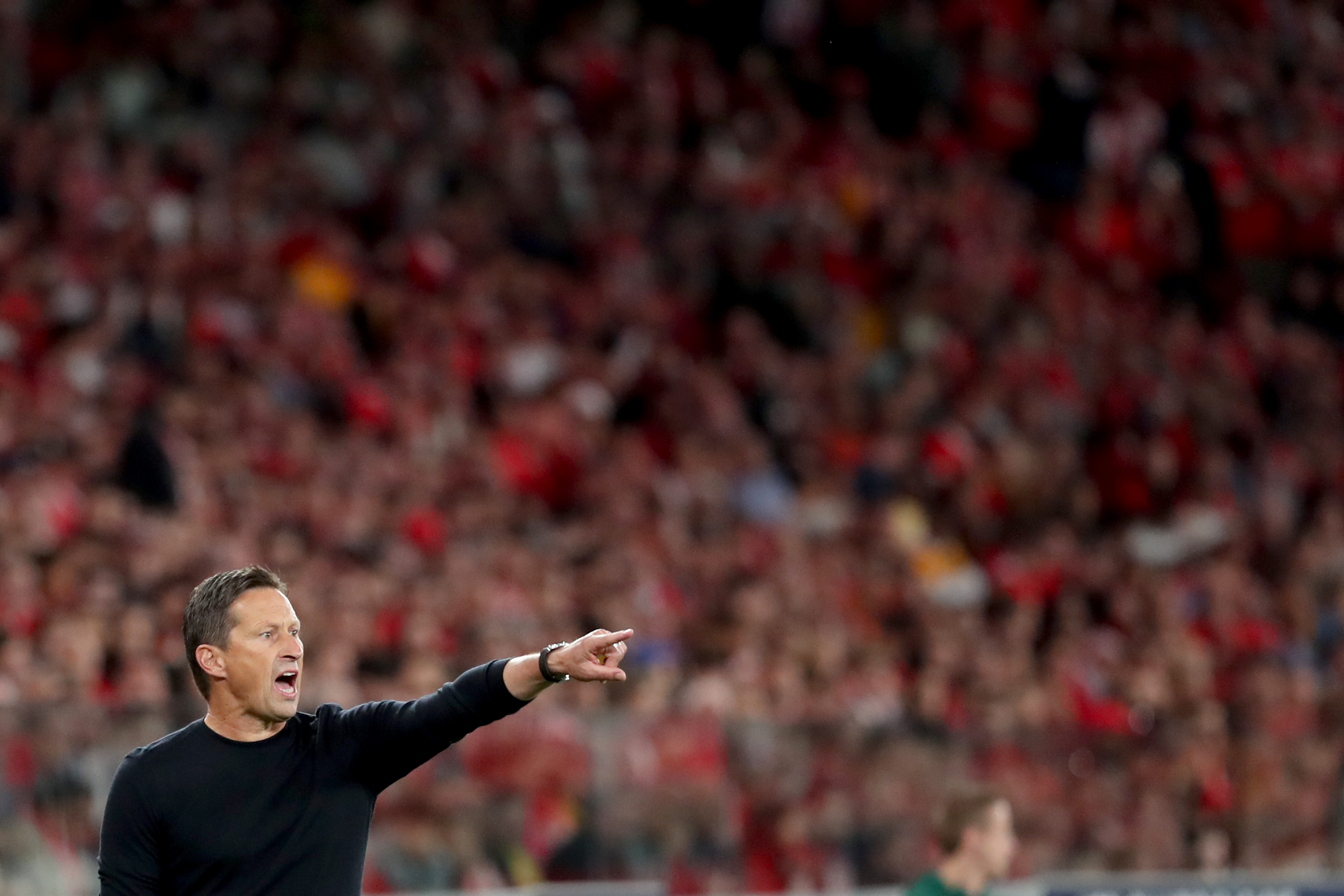 体育西甲欧冠,体育足球国米