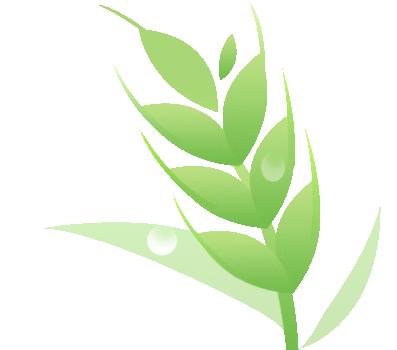 娣卞湷鍥涘鍒嗕韩,娣卞湷鍥涘鏁寸悊鏀剁撼