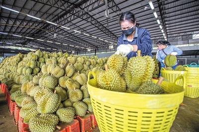 畅通国际,共建有效的国际物流