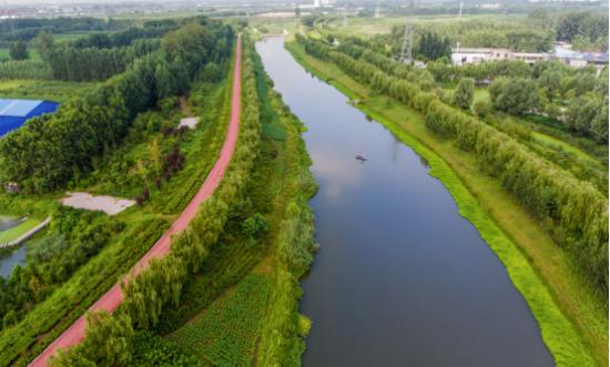 金锣健食力助推健康饮食新常态,金锣发展过程中如何推动前进