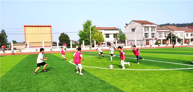 谷城县实验小学研学活动,实验小学活力运动