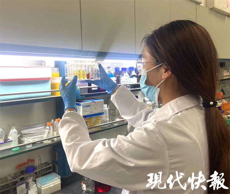 食物是否变质看标签颜色,大学生发明食品监测“膜法”