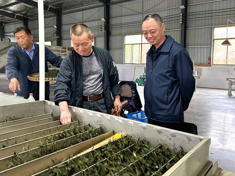 从“致富带头人”到“法治带头人”“茶叶书记”的“法治经”