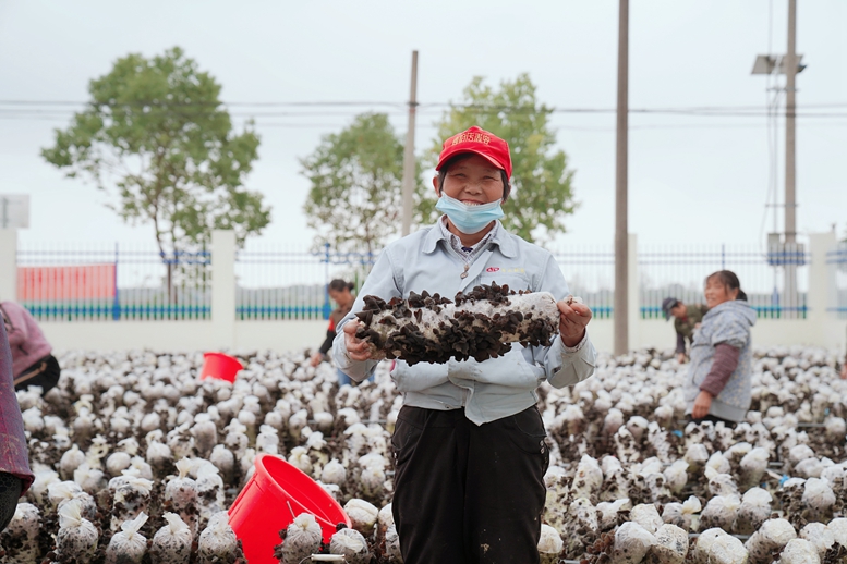 《破局乡村振兴》的金句,破题乡村振兴