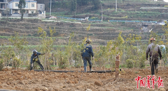 以一万的努力防万一的风险,以一万的努力防范万一什么意思