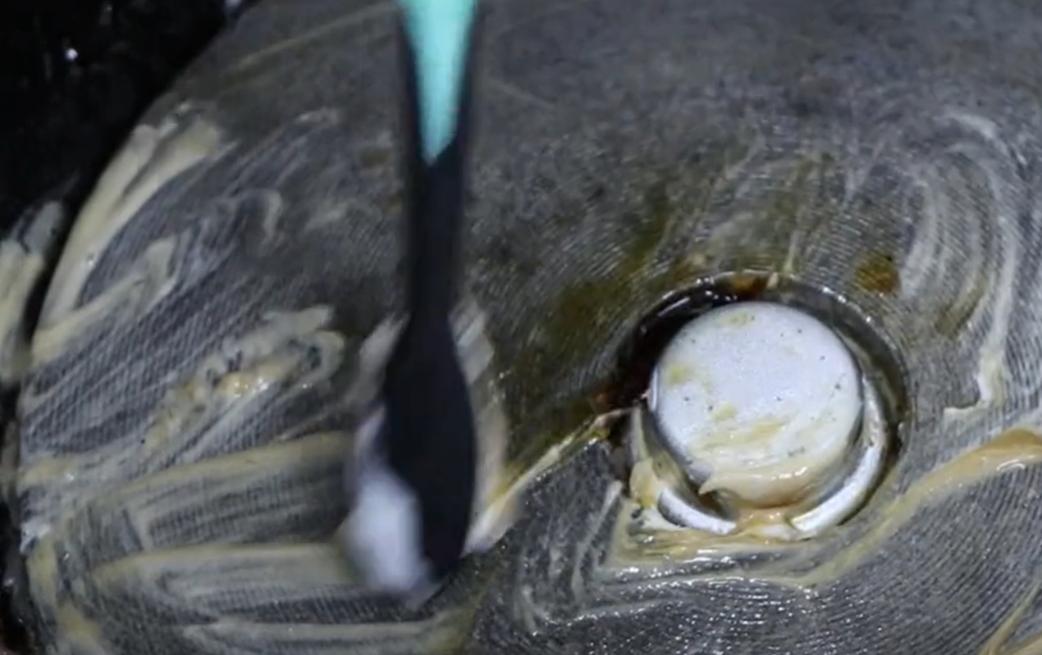 电饭锅只洗内胆，等于吃“细菌”，教你正确清洗，煮饭更省时省电