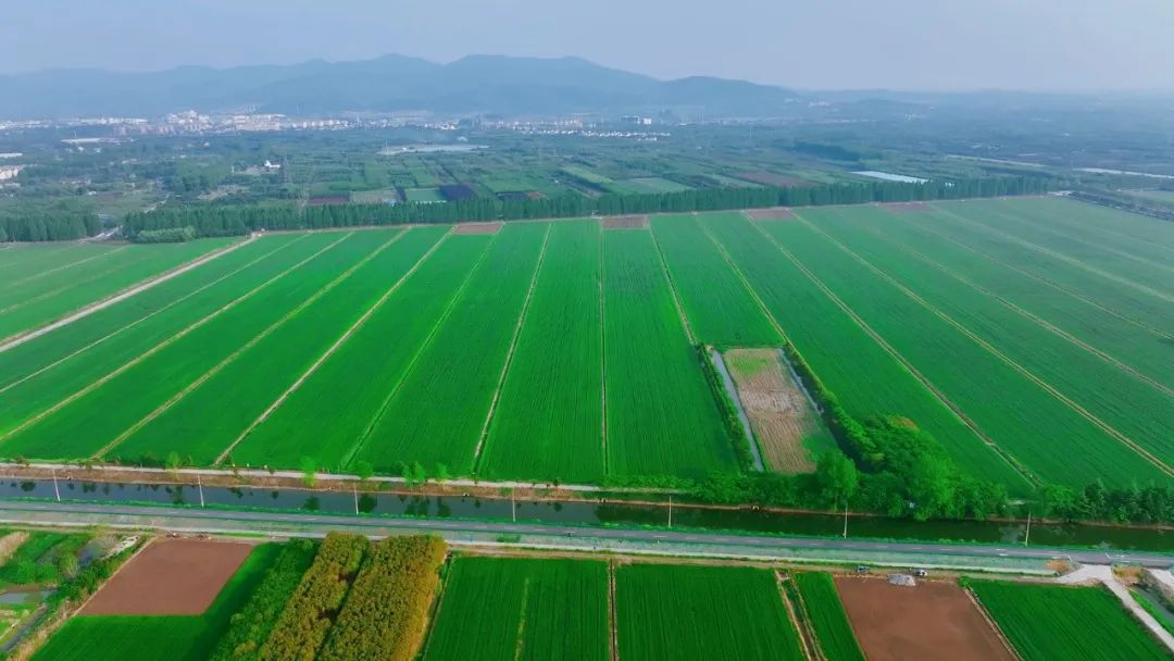 百舸争流江苏段长江,南京百舸争流网络科技有限公司