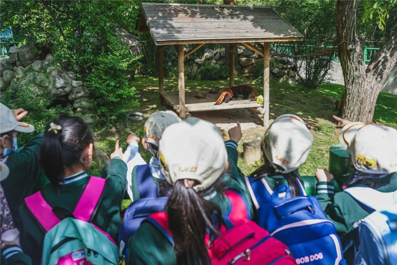 西航花园社会实践活动,西航三校小学一年级课程