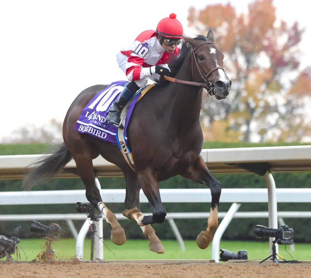 美国赛马名人堂名单公布！