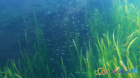 浜戝崡婢勬睙姘翠笅鏃犱汉鏈烘帰绉樻姎浠欐箹,鎶氫粰婀栨棤浜烘満鎷嶆憚