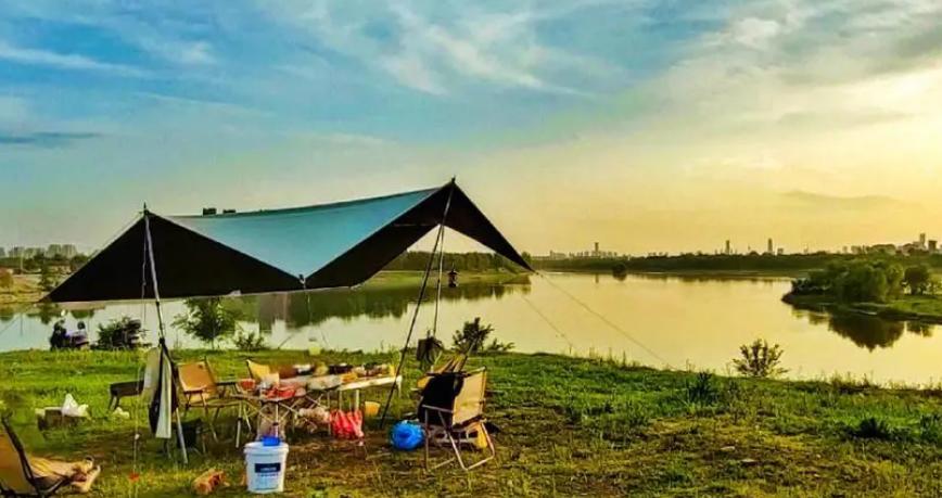 春天花正开沈阳正当时,春天花正开沈阳