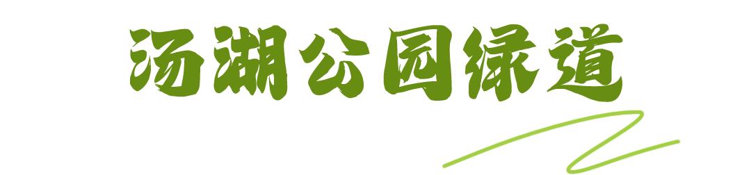 骑车打卡绿道,东湖绿道骑行享受闲暇时光