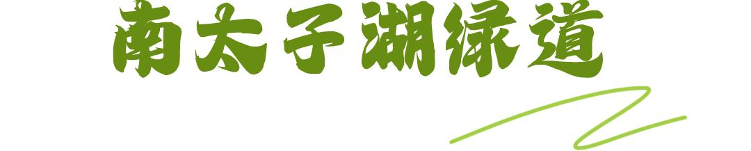 骑车打卡绿道,东湖绿道骑行享受闲暇时光