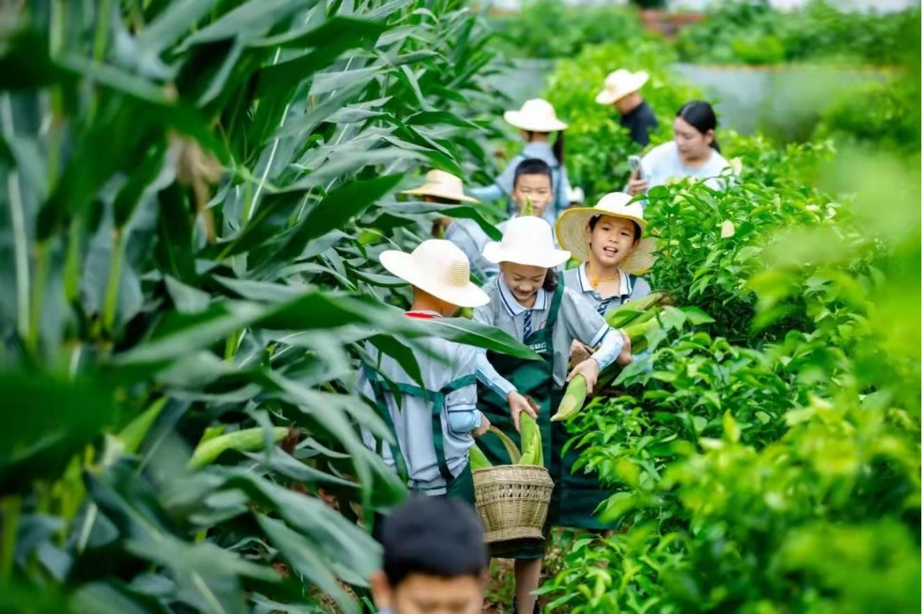 来金堂赏花,成都金堂风景