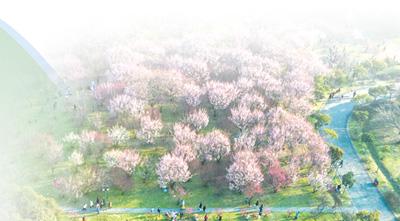 口袋公园建设要倾听民意,口袋公园建设管理水平仍需提升